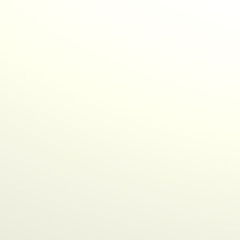 SML KAR BEYAZ LAK PANEL